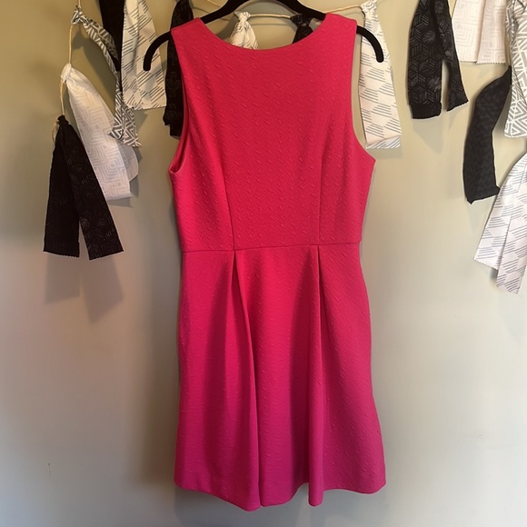 Pink fit n flare dress with pockets - Picture 6 of 6